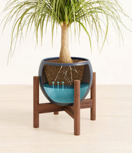 Load image into Gallery viewer, Deep Navy stand:walnut