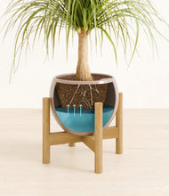 Load image into Gallery viewer, Desert Brown stand:bamboo