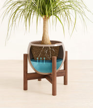 Load image into Gallery viewer, Desert Brown stand:walnut