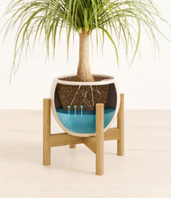 Load image into Gallery viewer, Shiny EggWhite stand:bamboo