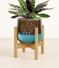 Load image into Gallery viewer, -