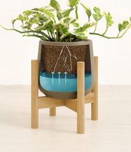 Load image into Gallery viewer, Olive stand:bamboo