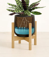 Load image into Gallery viewer, -