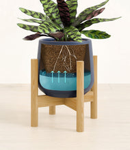 Load image into Gallery viewer, -