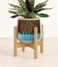 Load image into Gallery viewer, -