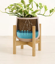 Load image into Gallery viewer, Eternal Gray stand:bamboo