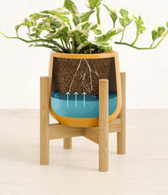Load image into Gallery viewer, Mustard stand:bamboo