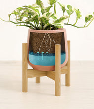 Load image into Gallery viewer, Calm Rose stand:bamboo