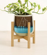 Load image into Gallery viewer, Turquoise stand:bamboo