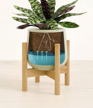 Load image into Gallery viewer, -