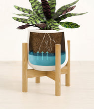 Load image into Gallery viewer, -