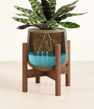 Load image into Gallery viewer, -