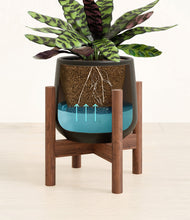 Load image into Gallery viewer, -