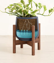 Load image into Gallery viewer, Deep Navy stand:walnut