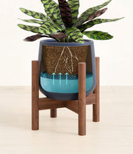 Load image into Gallery viewer, -