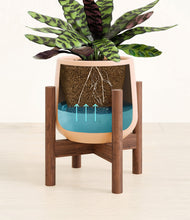 Load image into Gallery viewer, -