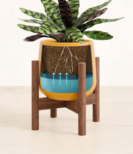 Load image into Gallery viewer, -