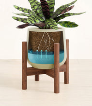 Load image into Gallery viewer, -