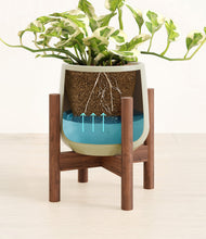 Load image into Gallery viewer, Turquoise stand:walnut