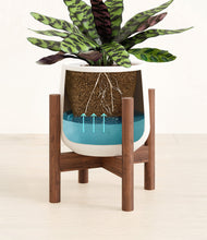 Load image into Gallery viewer, -