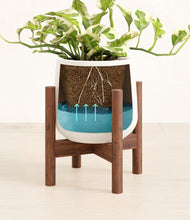 Load image into Gallery viewer, White stand:walnut