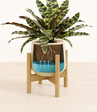 Load image into Gallery viewer, Almond Green stand:bamboo