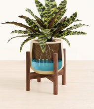 Load image into Gallery viewer, Almond Green stand:walnut