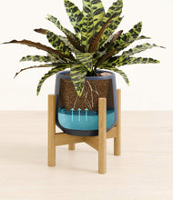 Load image into Gallery viewer, Deep Navy stand:bamboo