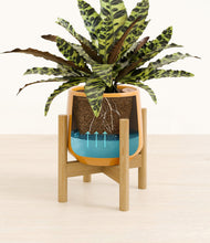 Load image into Gallery viewer, Mustard stand:bamboo