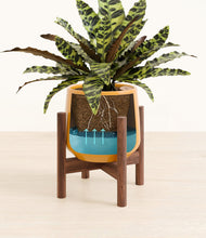 Load image into Gallery viewer, Mustard stand:walnut