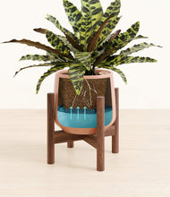 Load image into Gallery viewer, Calm Rose stand:walnut