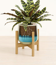 Load image into Gallery viewer, Turquoise stand:bamboo