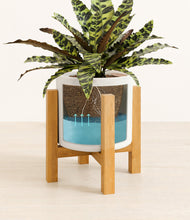 Load image into Gallery viewer, White stand:light