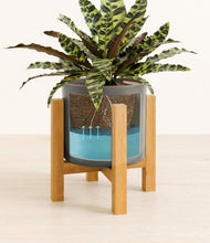 Load image into Gallery viewer, Dark Olive stand:light