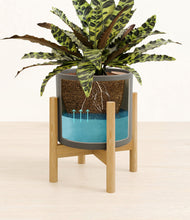 Load image into Gallery viewer, Dark Olive stand:bamboo