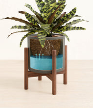 Load image into Gallery viewer, Dark Olive stand:walnut