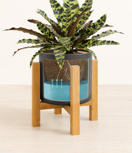 Load image into Gallery viewer, Black stand:light