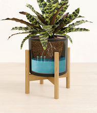 Load image into Gallery viewer, Black stand:bamboo