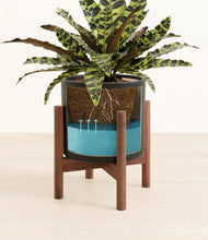 Load image into Gallery viewer, Black stand:walnut