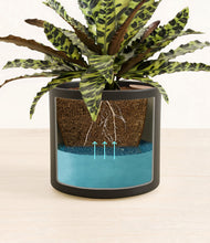 Load image into Gallery viewer, Black