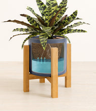 Load image into Gallery viewer, Deep Navy stand:light