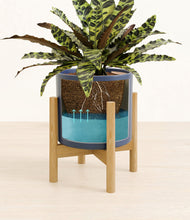 Load image into Gallery viewer, Deep Navy stand:bamboo