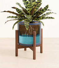 Load image into Gallery viewer, Deep Navy stand:walnut