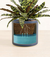 Load image into Gallery viewer, Deep Navy