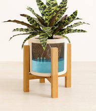 Load image into Gallery viewer, Cream stand:light