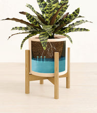 Load image into Gallery viewer, Cream stand:bamboo
