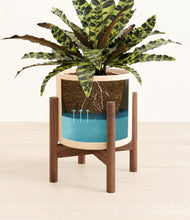 Load image into Gallery viewer, Cream stand:walnut