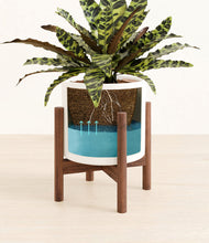 Load image into Gallery viewer, White stand:walnut