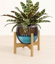 Load image into Gallery viewer, Deep Navy stand:bamboo