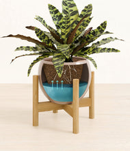 Load image into Gallery viewer, Desert Brown stand:bamboo